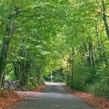 Teresa's 木屋 Kilcolgan