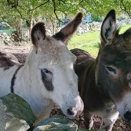 Teresa's * Kilcolgan