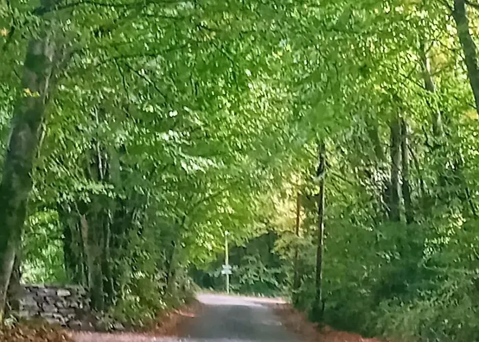 Teresa's 木屋 Kilcolgan